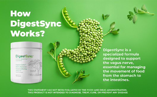 How DigestSync works to support digestive comfort and healthy gut function in daily use